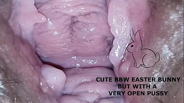HD Cute bbw bunny, but with a very open pussy ภาพยนตร์ใหม่