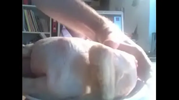 Nowe filmy HD chicken masturbation , CHICKEN r., chicken sex