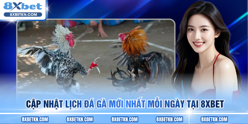 Cập nhật lịch đá gà mới nhất mỗi ngày tại 8XBET Cập nhật lịch đá gà mới nhất mỗi ngày tại 8XBET