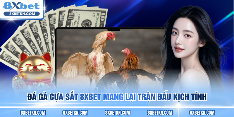 Đá gà cựa sắt 8XBET mang lại trận đấu kịch tính Đá gà cựa sắt 8XBET mang lại trận đấu kịch tính