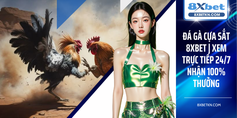 Đá Gà Cựa Sắt 8XBET | Xem Trực Tiếp 24/7 Nhận 100% Thưởng