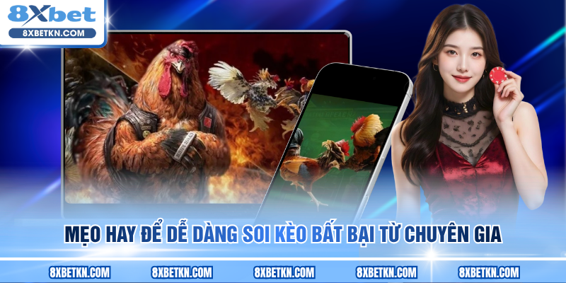 Mẹo hay để dễ dàng soi kèo bất bại từ chuyên gia Mẹo hay để dễ dàng soi kèo bất bại từ chuyên gia