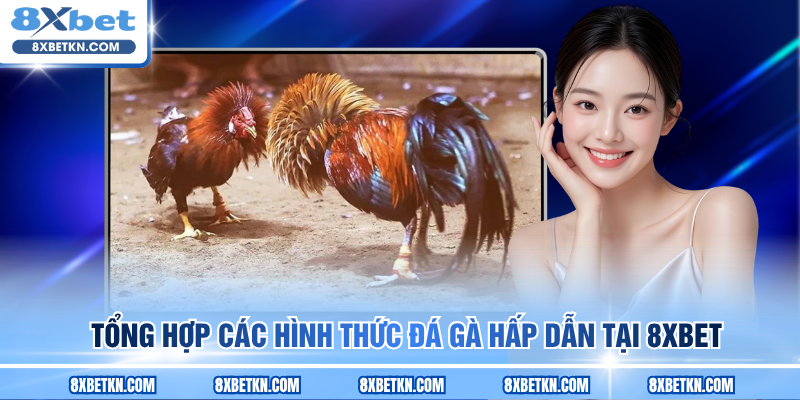 Tổng hợp các hình thức đá gà hấp dẫn tại 8XBET Tổng hợp các hình thức đá gà hấp dẫn tại 8XBET